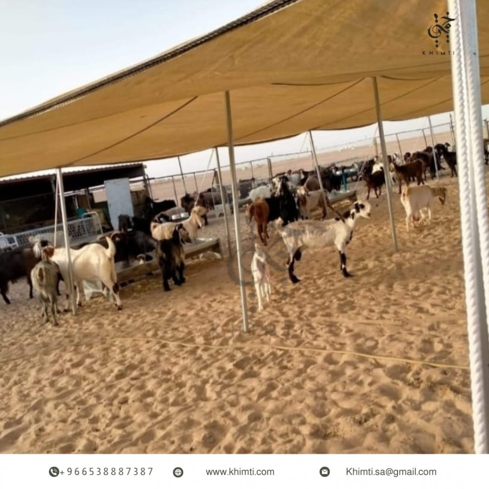 مظلات حلال طبقة واحدة